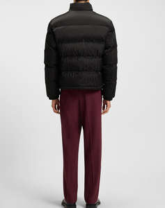 HUGO Balto2541 10274518 01