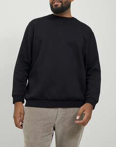 JACK&JONES JJEBRADLEY SWEAT CREW NOOS PLS
